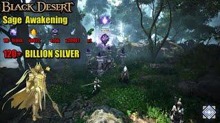 BDO | Sage Awakening  1 MILLION TRASH at Thornwood Forest | PvE Combo Addons |