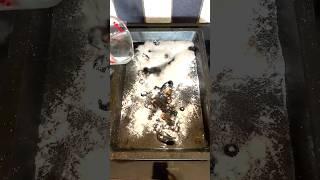 Does bicarb soda really clean a dirty oven tray? #CleaningHacks #KitchenTips #Shorts