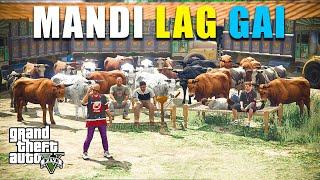 LOS SANTOS BIGGEST MANDI | MANDI SERIES | SHADOW GAMING