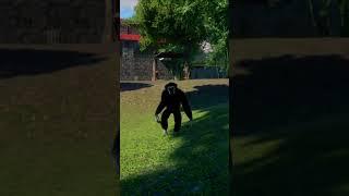 Lar Gibbon Tropical Pack Planet Zoo