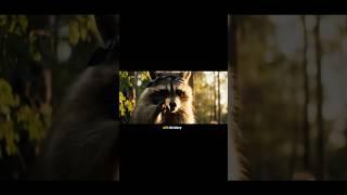 The Raccoon vs. Bigfoot Showdown #raccooncity #raccoonvideos