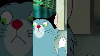 If Oggy were in real life #Shorts #oggy | Cartoons for kids