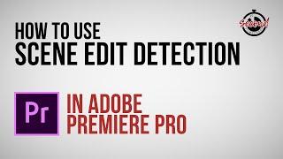 How to Use Scene Edit Detection in Premiere Pro