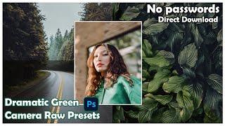 Top Premium Cinematic Photoshop Camera Raw Presets Free download | Dramatic Green