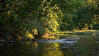 Tennessee: 87 Acres Cannon County Farm Horse Residential Auburntown For Sale By Owner