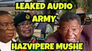 ARMY LEAKED AUDIO - HAZVIPERE MUSHE - HANZI ED ANOZVIONA SEAKANGWARA FULL INFO