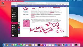 USMLE STEP 1 ENDOCRINOLOGY LECTURE 4