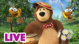  EN DIRECT ‍️ Masha et Miсhka  Pot de miel pour l'Ours  Masha and the Bear