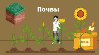 Почва - тема. Виды почв