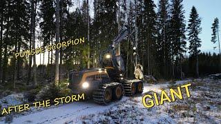 Ponsse Scorpion GIANT 4k - After the storm - Myrskypuiden korjuuta