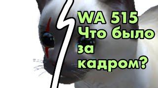 Что происходило за кадром во время съемки «Ва 515» [cat simulator animal life]