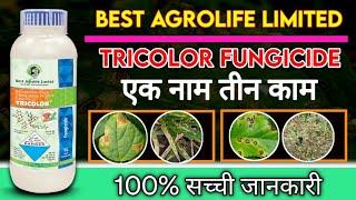 Best Agrolife Tricolor Fungicides||के बारे  में  जानकारी||एक नाम तीन काम||