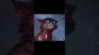 Посмотрел как на врага #бич #кв #котывоителитоп #смотрю на врага