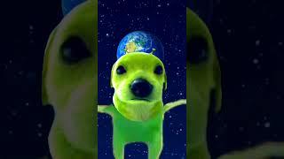 alien x u can ask the flowers