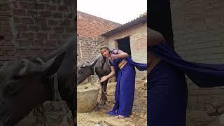 #video| Aeji Suni ji | Ranjeet Singh,Shivani Singh | New song | bhojpuri hit song |#trending#viral#