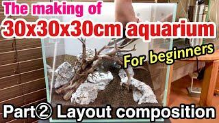 Easy for Aquarium Beginners! The 3 Steps To Building A Small Sized tank Layout ②“Layout Composition”