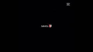 Best saves