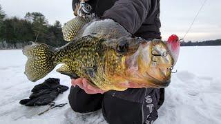 Chasing Down Giant Slab Rap Eating Northwoods Crappies - In Depth Outdoors TV S16 E8