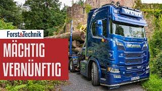 Scania R770 im Holztransport: Mächtig vernünftig