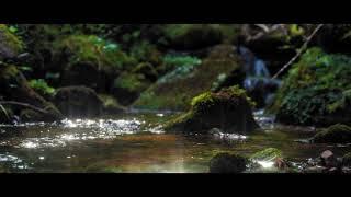 relax listening to the sound of the river