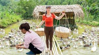 17-Year-Old Single Mother Harvests Duck Eggs - Duck Farm on the River