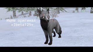  |`` Ищем оригинал «Ibeta125» ``| “WildCraft„ 