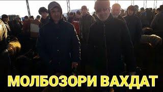 МОЛБОЗОРИ ВАХДАТ ГУСФАНДХОИ СОЛУКИ ОЧА БАЧА СИРКА БУЗОИ ОЧА БАЧА