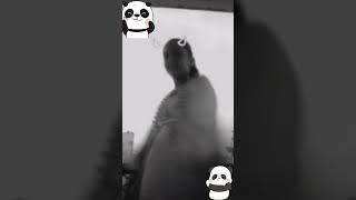 hard #cute # you tube #feed #short #https.www.com.               # Miss Tishika