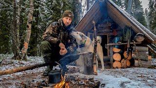 СТАВЛЮ КАПКАНЫ В РАЙОНЕ ИЗБЫ ГЛУХАРИНОЙ. РАЗБОЙ ВОЗВРАЩАЕТСЯ. СУМАСШЕДШИЕ ДЯТЛЫ.