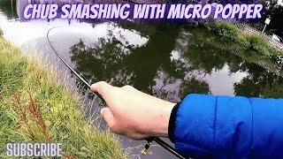 Nano popper smashed the chub at local canal