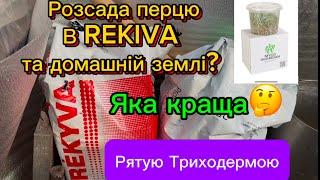 Сіяла перець в REKIYA, та домашню землю, тепер рятую Триходермою.