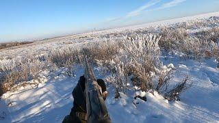 Трудовая Охота на зайца в -25  Удача была на моей стороне Мр-155 в деле! hunting and fishing