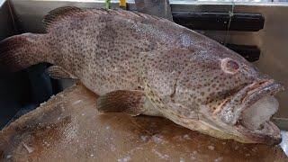 The Most Popular Giant Grouper Fish Cutting Skills