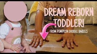 UNBOXING DREAM REBORN TODDLER from PUMPKIN DOODLE BABIES! NAME and FACE REVEAL!