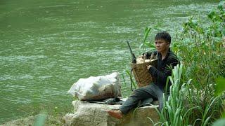 Pao's simple life: harvesting early-season bamboo shoots brings big profits