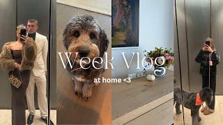 a week vlog in Boston & the cape!