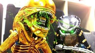 Alien VS Predator Stop Motion 異型VS終極戰士