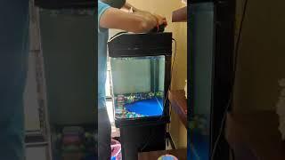 Fish Tank cleaning and decoration , aquarium