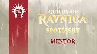 Guilds of Ravnica Spotlight: Mentor