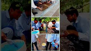 RAWE - Part 6 Bordeaux Mixture Application #shorts #collegelife #agricos #module  #collegevlog