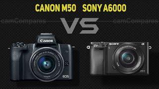 Canon M50 vs Sony A6000  [Camera Battle]