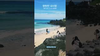 만보》영원한 내사랑, 원곡 남진, Cover 황영웅, 한담해안산책길 따라 만보