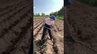 Переехали в село из города. Строимся и работаем