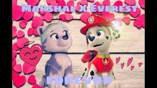 ^^Marshal X Everest^^