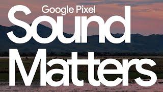 Pixel Sound Matters: Full Dawn Chorus