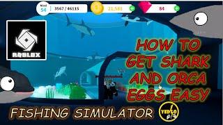 3 Tips For Getting Shark Or Orca Eggs In Fishing Simulator Roblox