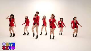 T -ARA - Sexy Love Mirrored Dance Tutorial