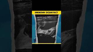 {DHARTI PE PAYE GYE BADE OCEAN CREATURE!?}.        #youtubeshorts #facts #shorts