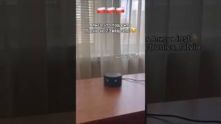 Как подключить колонку Алиса в Польше? Ответ смотри в Instagram: electronics_latvia