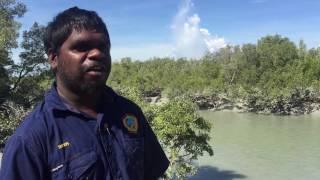 Karajarri/Nyangumarta Rangers Nyapuru Creek Croc Trap